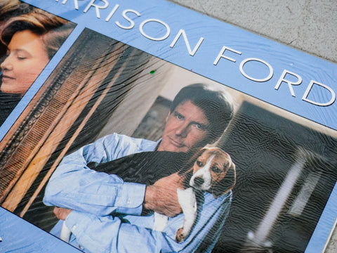 《意外的人生》(Regarding Henry) 大堂劇照